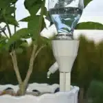 Arrosage automatique pot de fleur 1